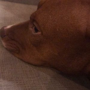 Meet your Posher, Keira